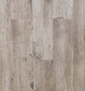 Forest Glossy 1736-1