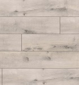 CLASSEN TREND - 52599