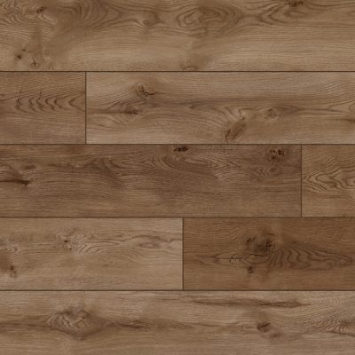 52791-2vision