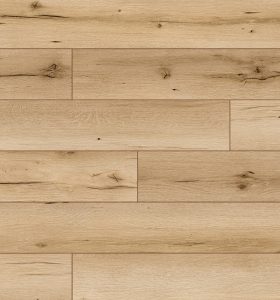 CLASSEN AMBIENCE - 53679